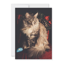 クリスマスカードSmilla V1