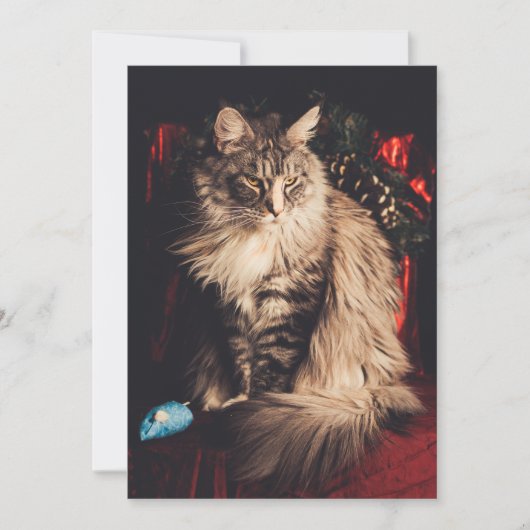 クリスマスカードSmilla V1 シーズンカード (正面)