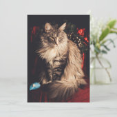 クリスマスカードSmilla V1 シーズンカード (スタンド正面)