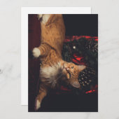 クリスマスカードTarzan V1 シーズンカード (正面/裏面)