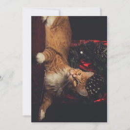 クリスマスカードTarzan V1 シーズンカード