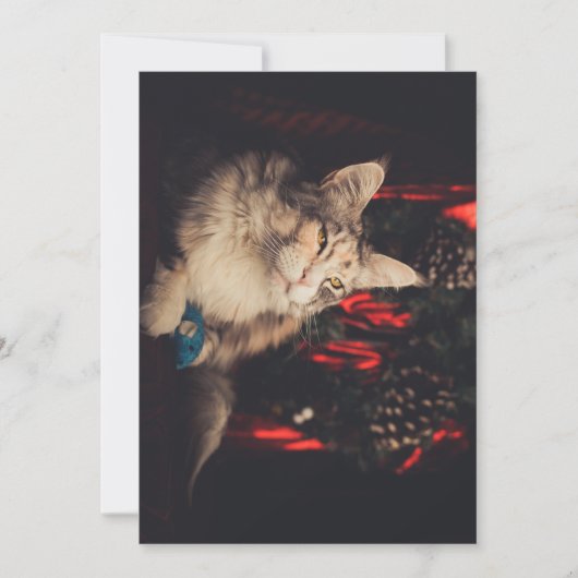 クリスマスカードTitiyo V3 シーズンカード (正面)