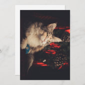 クリスマスカードTitiyo V3 シーズンカード (正面/裏面)