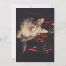 クリスマスカードTitiyo V3