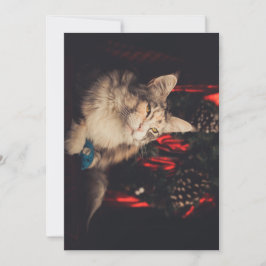 クリスマスカードTitiyo V3 シーズンカード