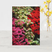 クリスマスガーデンの優雅さ カード (黄色い花)