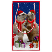 クリスマスキス抱き枕 スモールペーパーバッグ (正面)