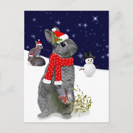 クリスマスキットポストカード ポストカード (正面)