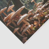 クリスマスキノコ妖精のデコパージュ 薄葉紙 (詳細)