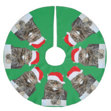 クリスマスキャットの写真ツリースカート