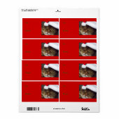 クリスマスキャットギフトラベル ラベル (フルシート)