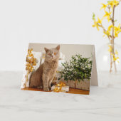 クリスマスキャットグリーティングカード カード (黄色い花)