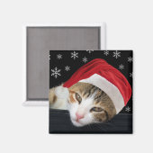 クリスマスキャット磁石 マグネット (正面/裏面)