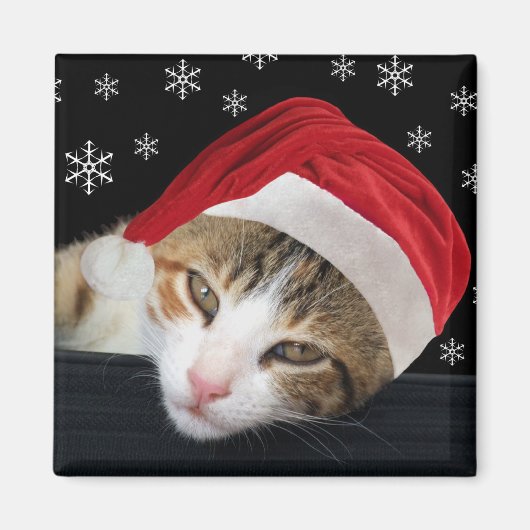 クリスマスキャット磁石 マグネット (正面)