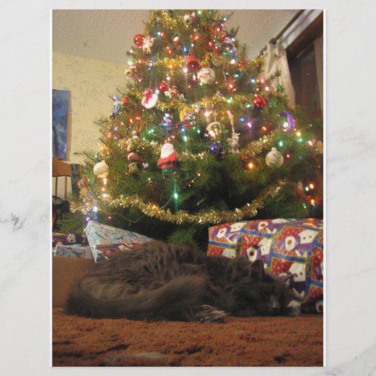 クリスマスキャット チラシ (正面)