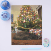 クリスマスキャット チラシ (シングル)