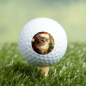 クリスマスキャット(4) ゴルフボール (インサイチュ 木)