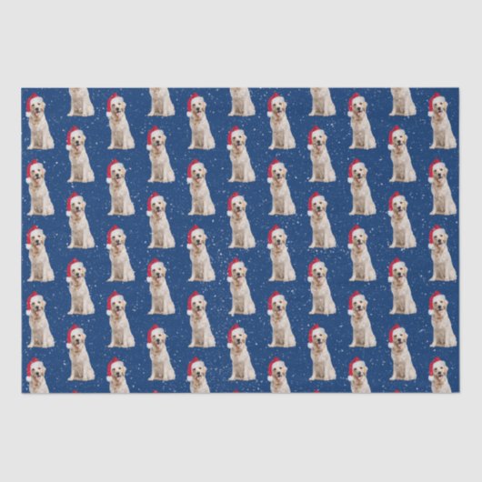 クリスマスキャップ付きゴールデンレトリバー 薄葉紙 (正面)