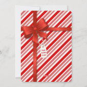 クリスマスキャンディーケーンオンマルティーニ シーズンカード (裏面)