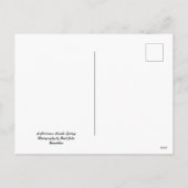 クリスマスキャンドルセッティング。祝日葉書 シーズンポストカード (裏面)