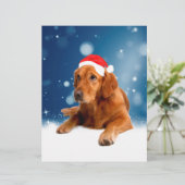 クリスマスキュートゴールデンレトリエバードッグサンタハットスノー レターヘッド (スタンド正面)