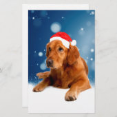 クリスマスキュートゴールデンレトリエバードッグサンタハットスノー 便箋 (正面/裏面)