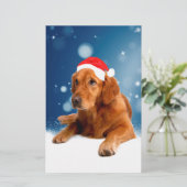 クリスマスキュートゴールデンレトリエバードッグサンタハットスノー 便箋 (スタンド正面)