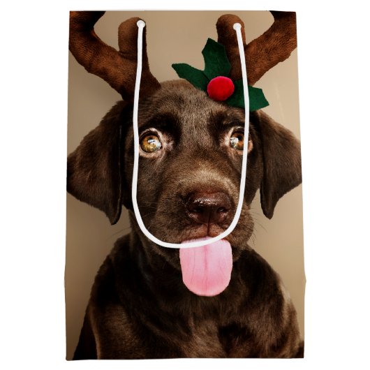 クリスマスキュートサンタトナディアパピーカスタムズ ミディアムペーパーバッグ (裏面)