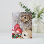 クリスマスギニア シーズンポストカード (スタンド正面)