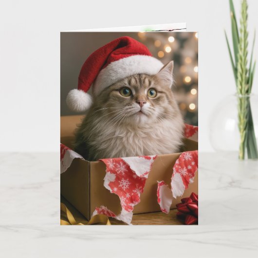 クリスマスギフトボックスの猫 カード (正面)