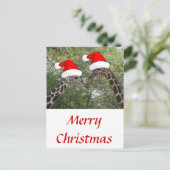 クリスマスギラフェス シーズンポストカード (スタンド正面)