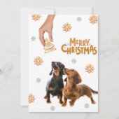 クリスマスクッキーダッシュント子犬 シーズンカード (正面)