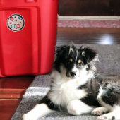 クリスマスクッキー シール