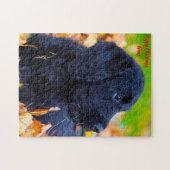 クリスマスグラニー ジグソーパズル (横)