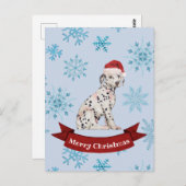 クリスマスグリーティングとフェスティバルダルマチアの子犬 ポストカード (正面/裏面)