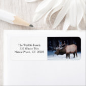 クリスマスグリーティングカード差出人住所ラベル ラベル (インサイチュ)