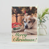 クリスマスグリーティングカード – クリスマスツリーを持つ犬 シーズンカード (スタンド正面)