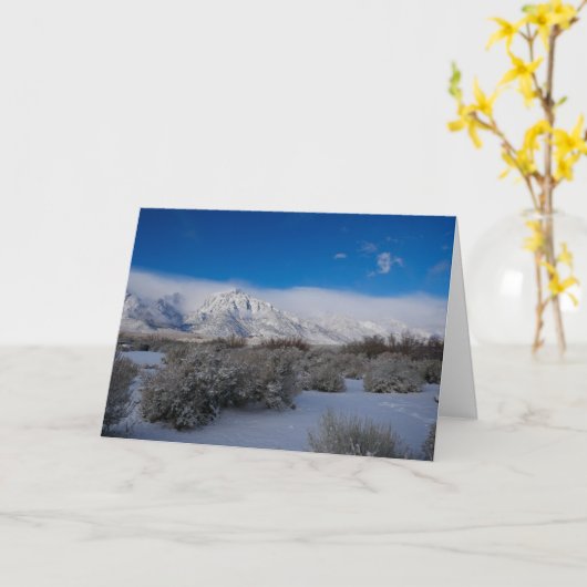 クリスマスグリーティングカード(聖なる書物、 経典参照あり) カード (黄色い花)