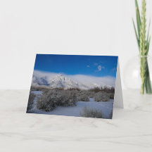 クリスマスグリーティングカード(聖なる書物、 経典参照あり)