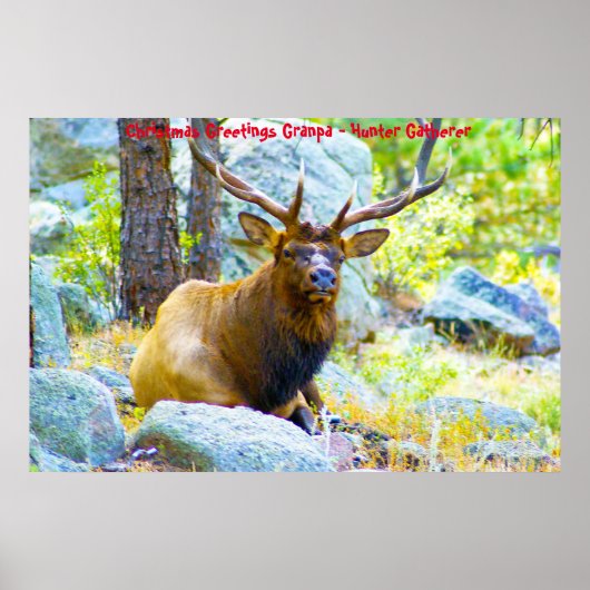 クリスマスグリーティンググランドパハンターGatherer ポスター (正面)