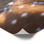 クリスマスグリーティンググランドパハンターGatherer ポスター (角)