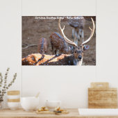 クリスマスグリーティンググランドパハンターGatherer ポスター (キッチン)