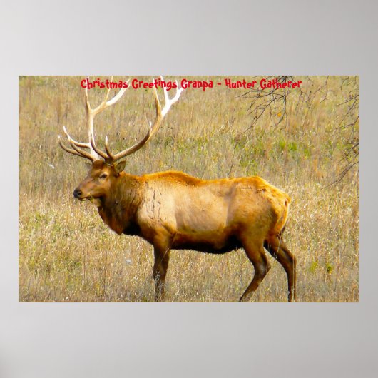 クリスマスグリーティンググランドパハンターGatherer ポスター (正面)