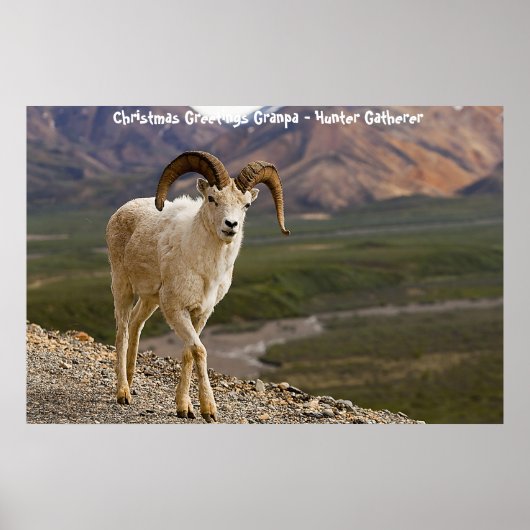 クリスマスグリーティンググランドパハンターGatherer ポスター (正面)