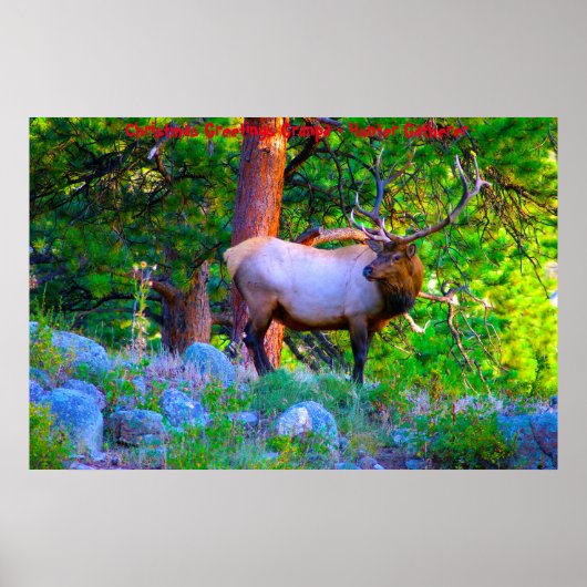 クリスマスグリーティンググランドパハンターGatherer ポスター (正面)