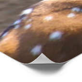 クリスマスグリーティングパパハンターGatherer ポスター (角)