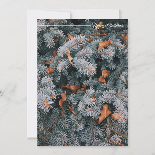 クリスマスグリーティングホリデーカード シーズンカード (正面)