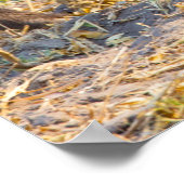 クリスマスグリーティングマイオールドボア ポスター (角)