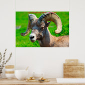 クリスマスグリーティングマイハニーヤギ ポスター (キッチン)