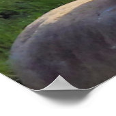 クリスマスグリーティングマイハニーヤギ ポスター (角)